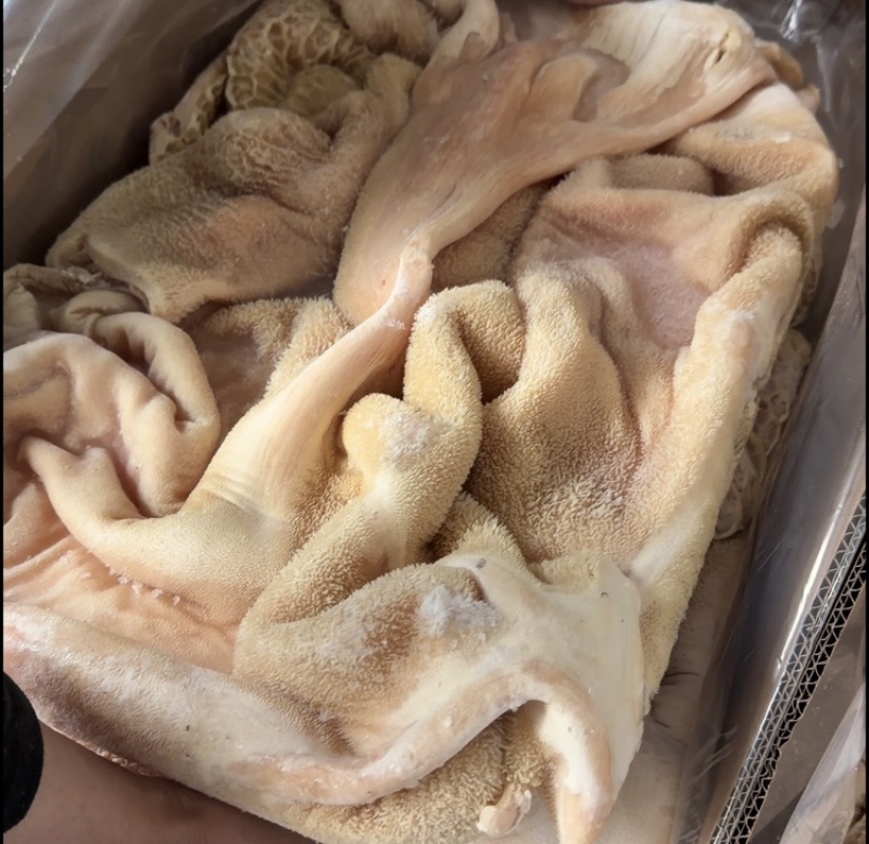 广东汕头新鲜飞牛肚、飞水的、新鲜的、一手货源、货量充足