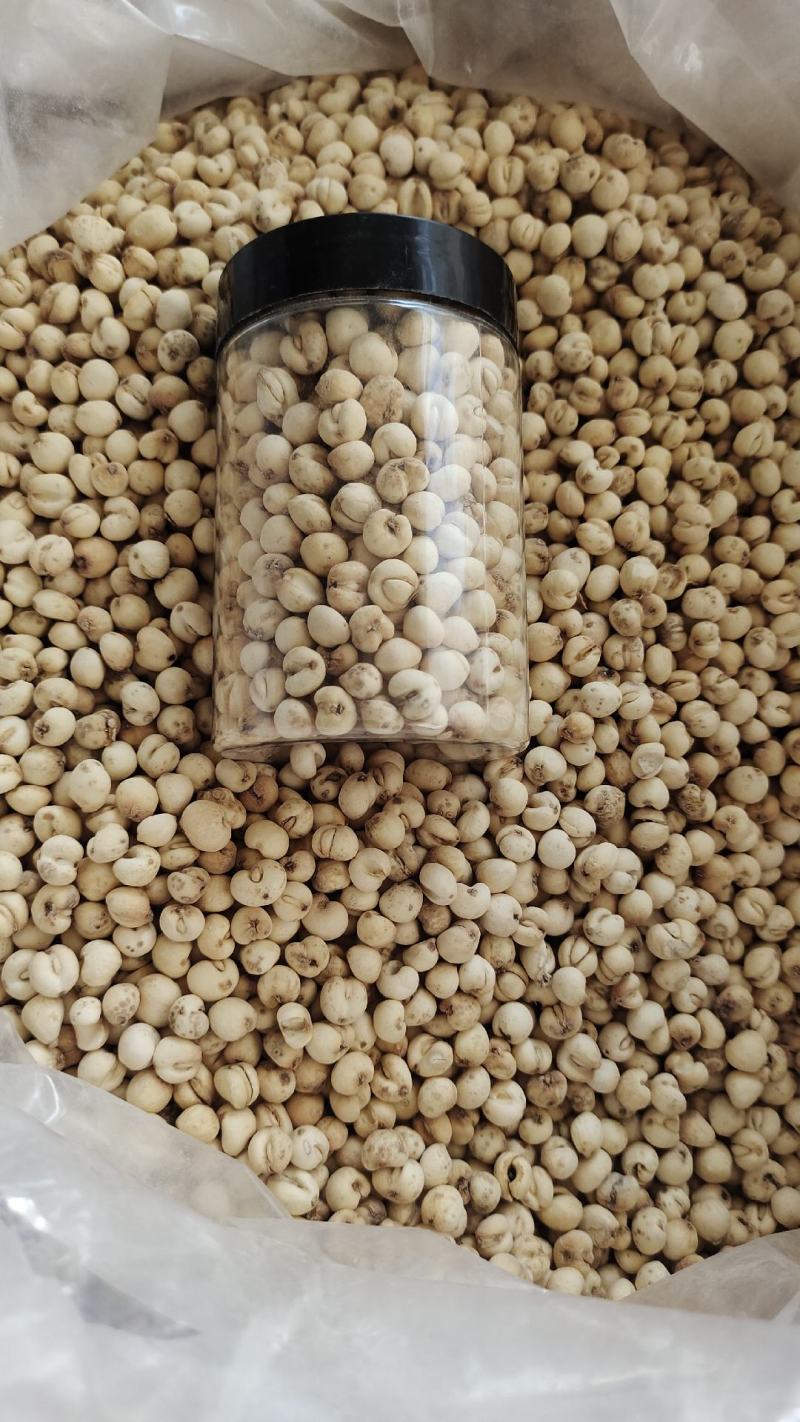正宗贝母，精品货，质量很好，直播电商