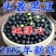 【新豆特价】10斤2025年绿芯黑豆东北农家自种