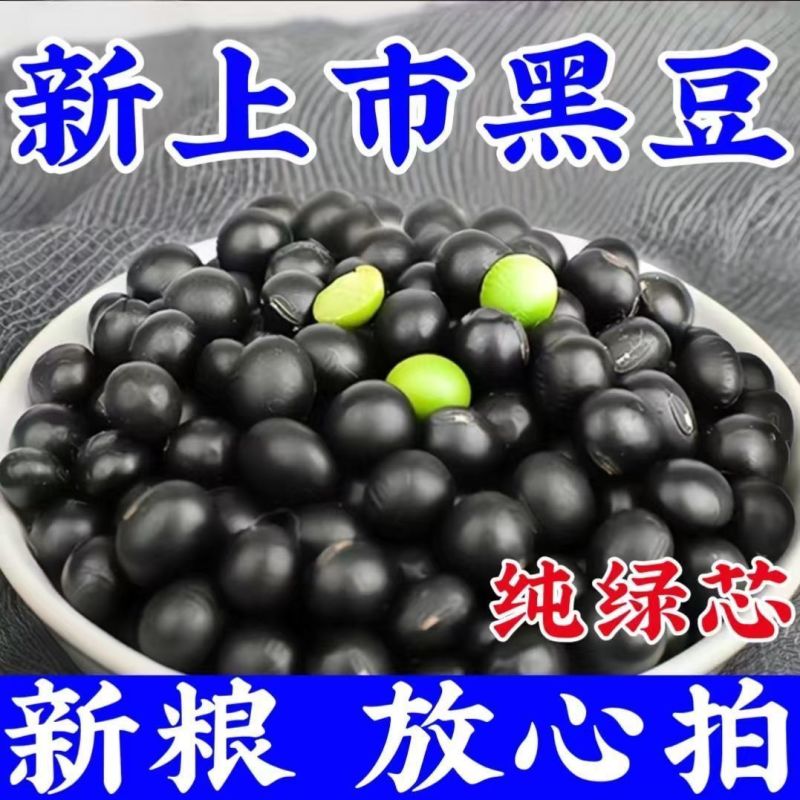 【新豆特价】10斤2025年绿芯黑豆东北农家自种