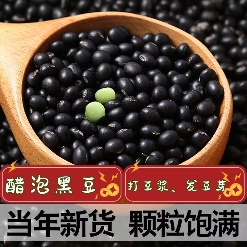 【新豆特价】10斤2025年绿芯黑豆东北农家自种