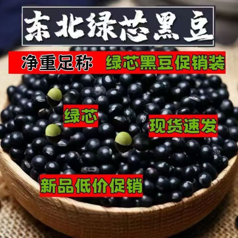 【新豆特价】10斤2025年绿芯黑豆东北农家自种