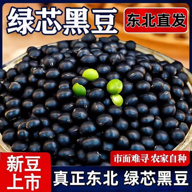 【新豆特价】10斤2025年绿芯黑豆东北农家自种