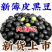【新豆特价】10斤2025年绿芯黑豆东北农家自种