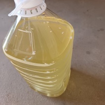 正宗农家糯米酒娘