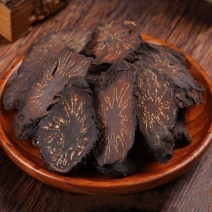 野生内蒙肉苁蓉大芸肉苁蓉泡茶补阳壮肾正品泡酒中药材