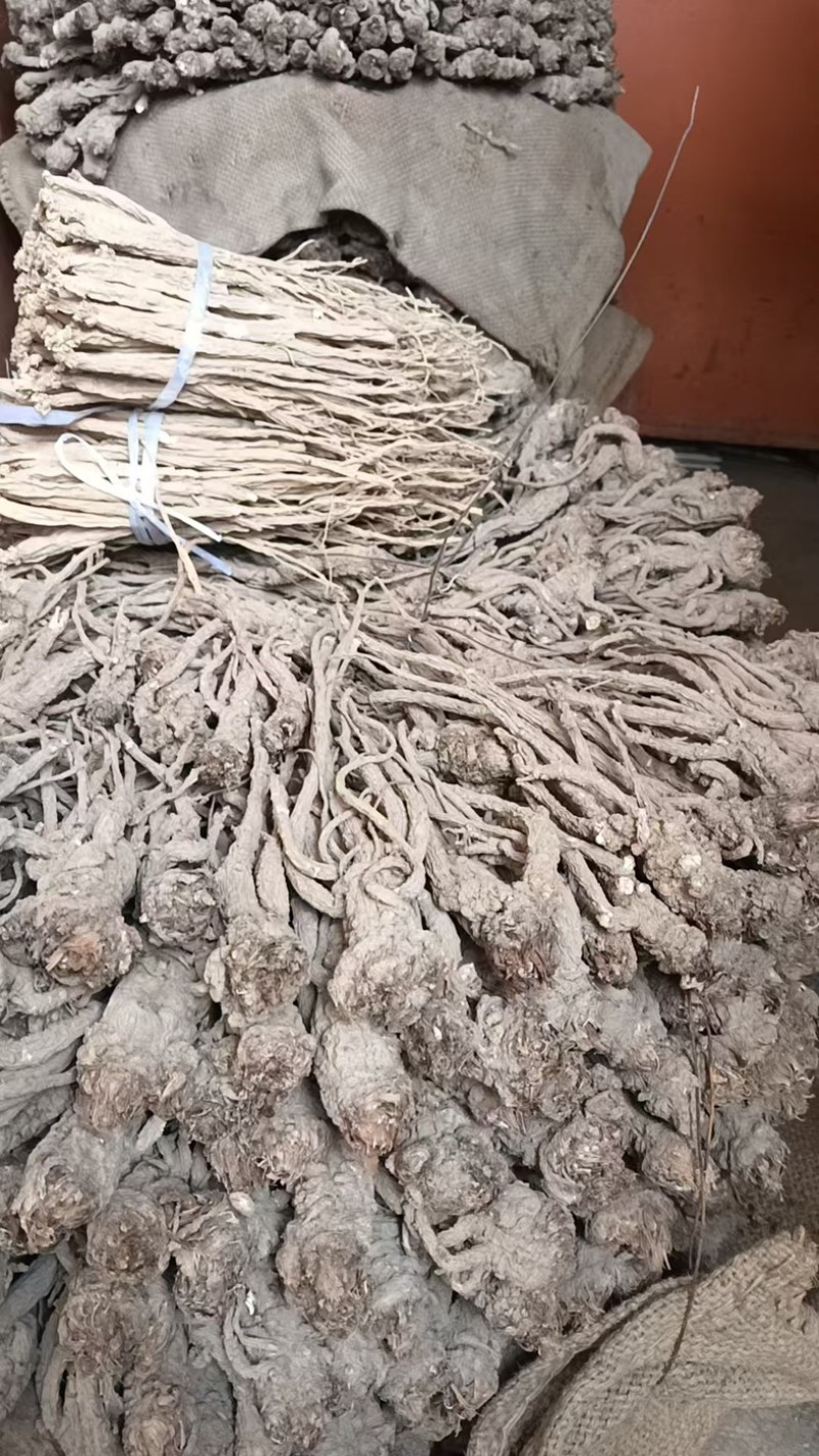 岷县大当归（整条）