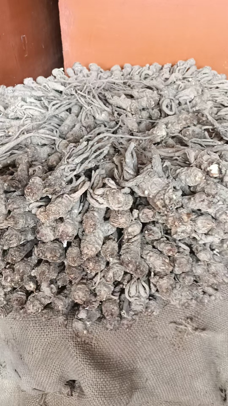 岷县大当归（整条）