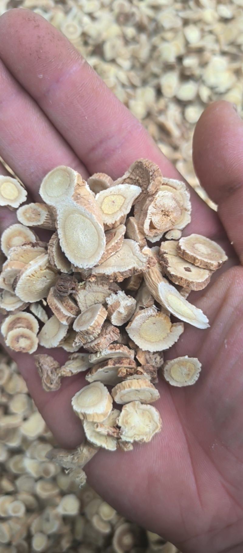 黄芪打粉用黄芪药用兽用批发各种中药材质量保证