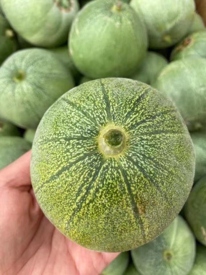 绿宝石甜瓜