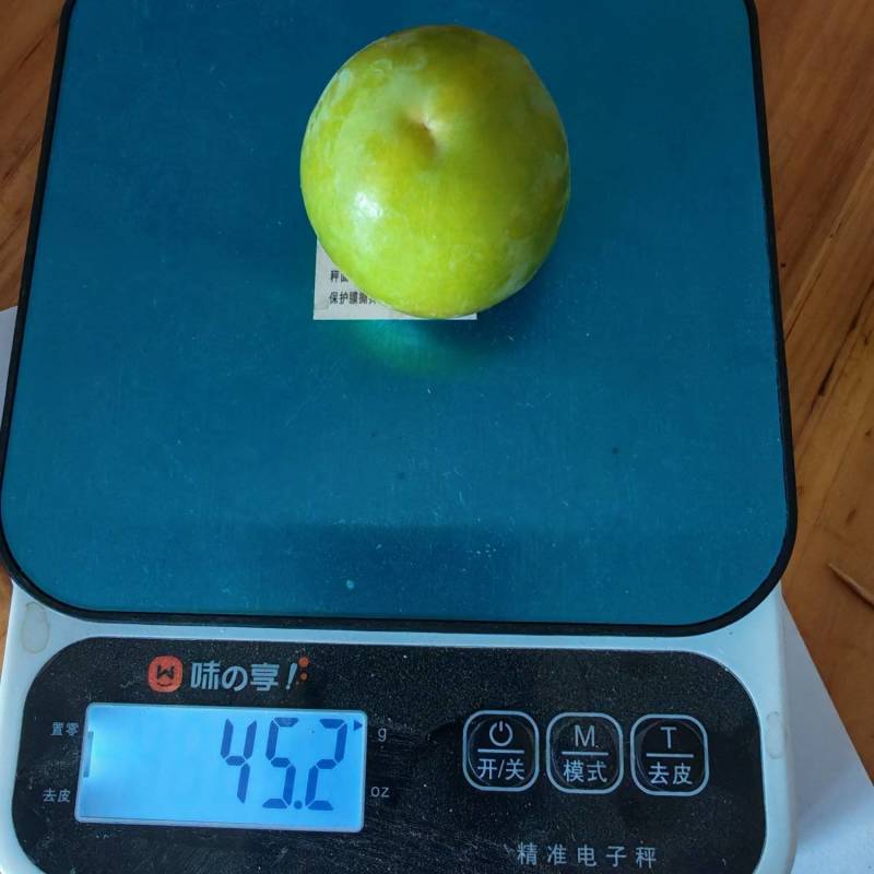 三月李