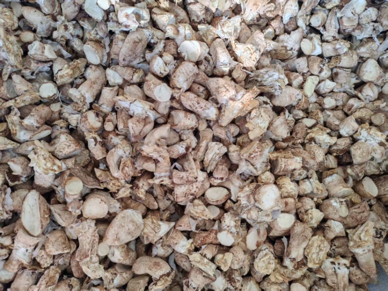 精品单剪香菇脚，量大从优，价格美丽，欢迎咨询订购