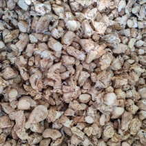 精品单剪香菇脚，量大从优，价格美丽，欢迎咨询订购