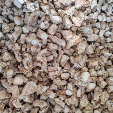 精品单剪香菇脚，量大从优，价格美丽，欢迎咨询订购