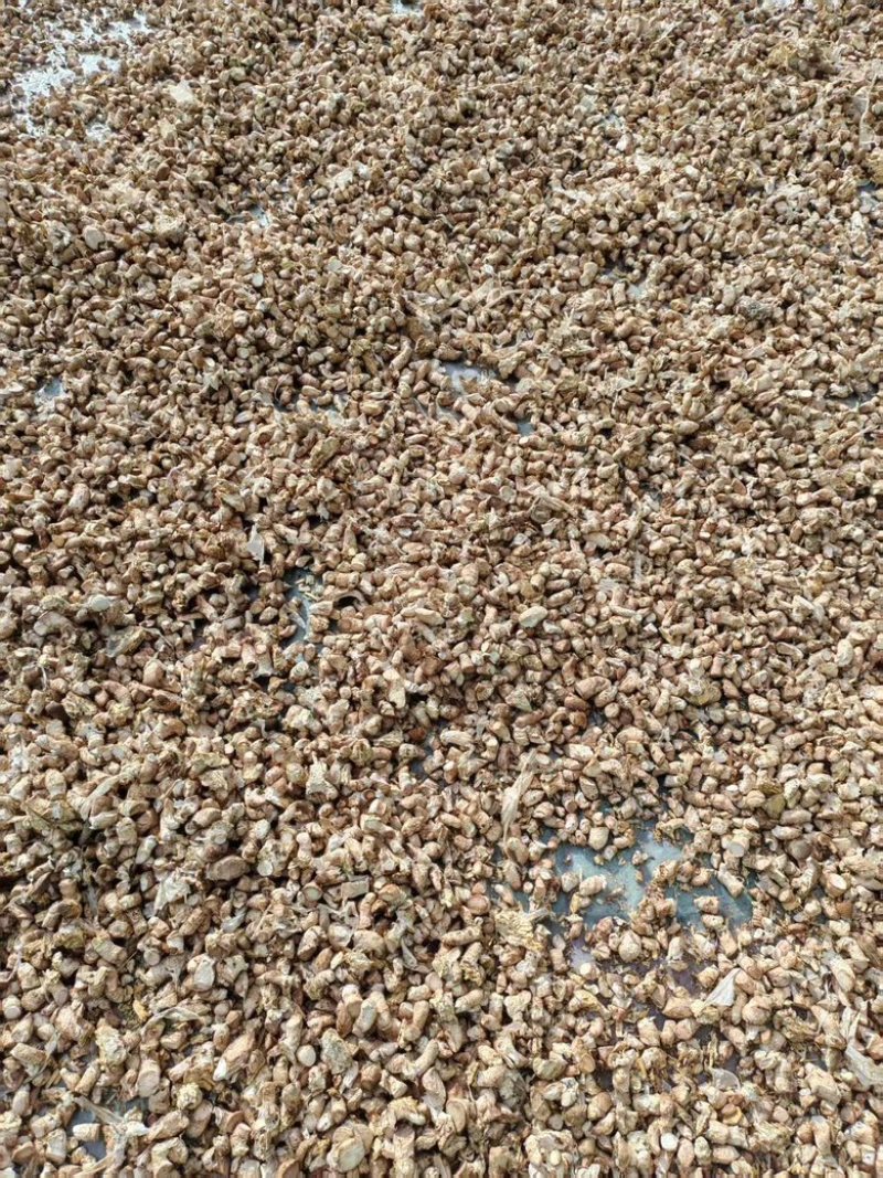 精品单剪香菇脚，量大从优，价格美丽，欢迎咨询订购