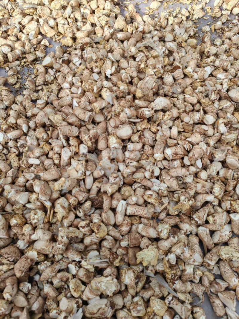 精品单剪香菇脚，量大从优，价格美丽，欢迎咨询订购