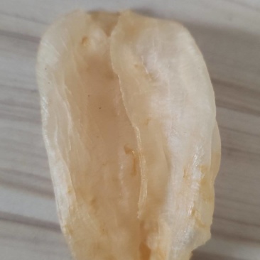 花胶，花胶汤
