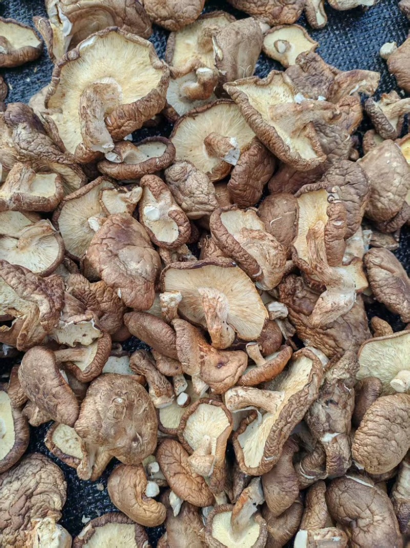 精品干香菇片，干香菇大片，精选香菇，营养美味，老少皆宜
