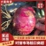 云南紫皮洋葱，个头均匀品相好质量有保证电商市场大量有货