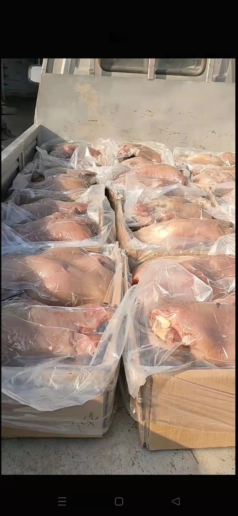熟牛头肉