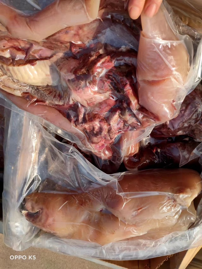 熟牛头肉
