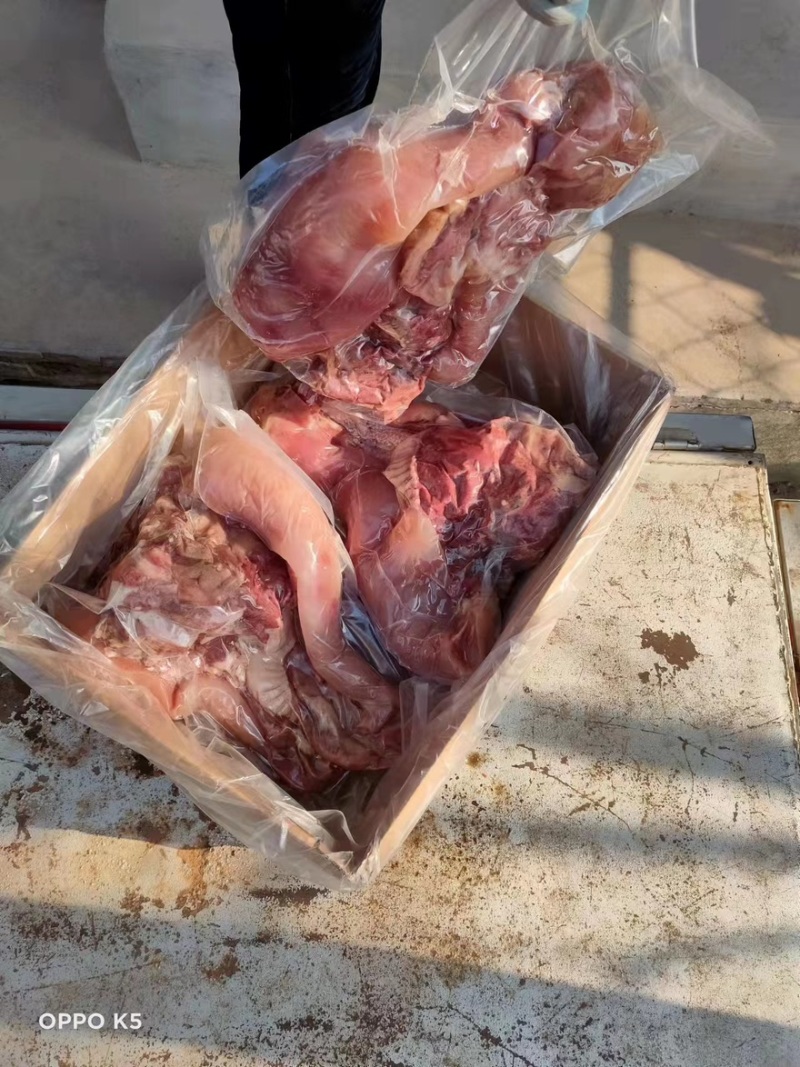 熟牛头肉