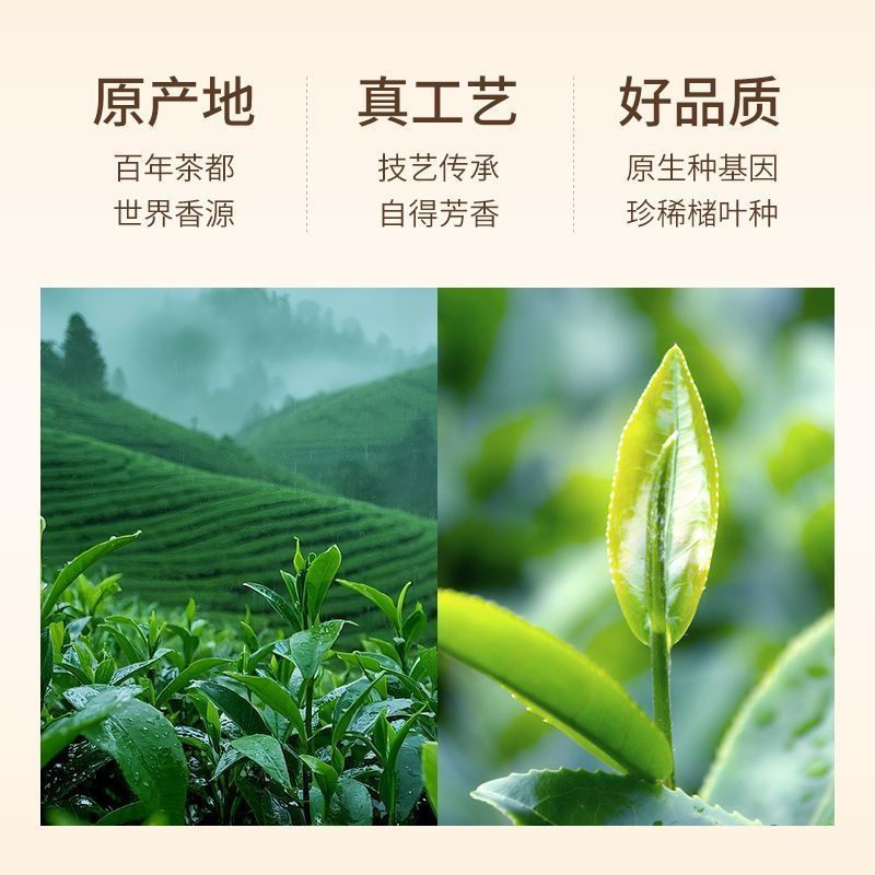 祁门红茶真工艺高品质湖南衡阳衡阳县产地发货