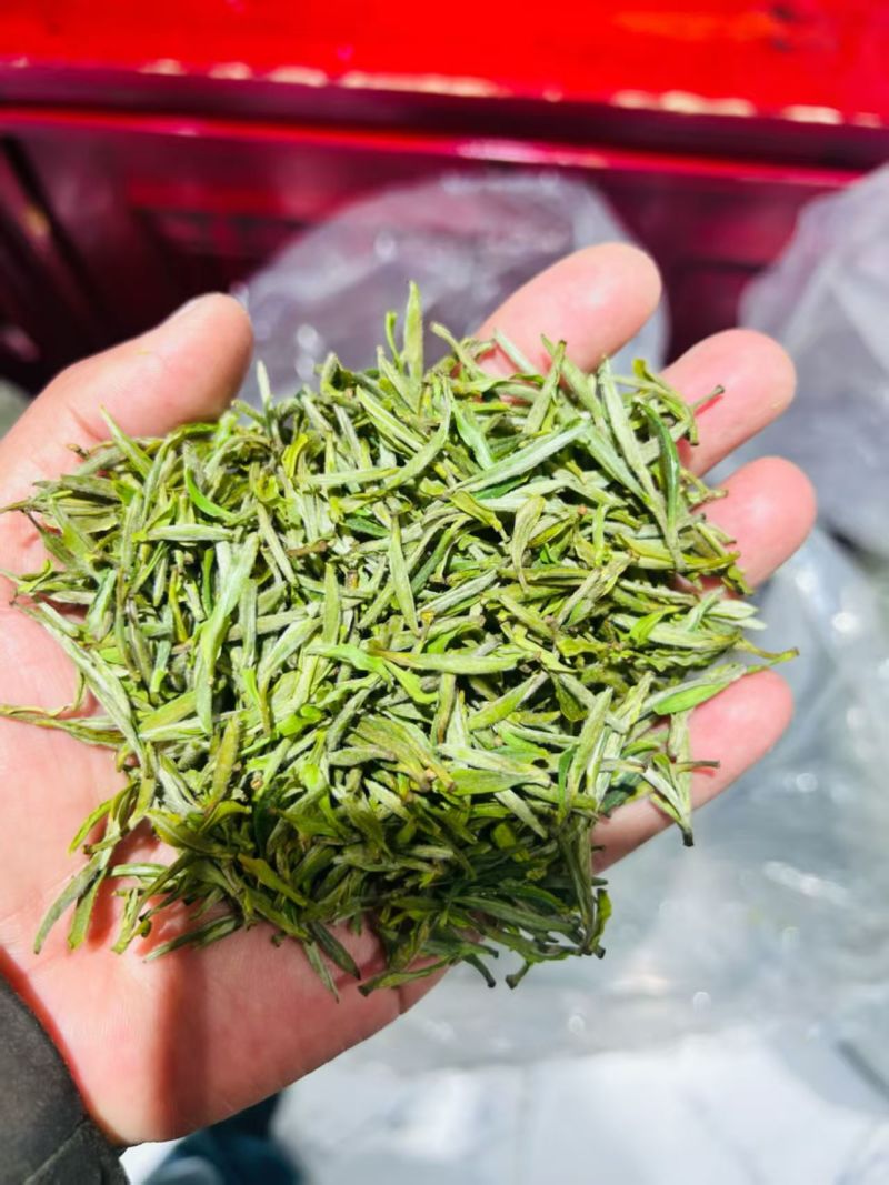 祁门红茶真工艺高品质湖南衡阳衡阳县产地发货