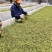 【精选】高山嫩芽祁门红茶安徽祁门县茶叶产地直发一手货源