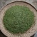 信阳绿茶