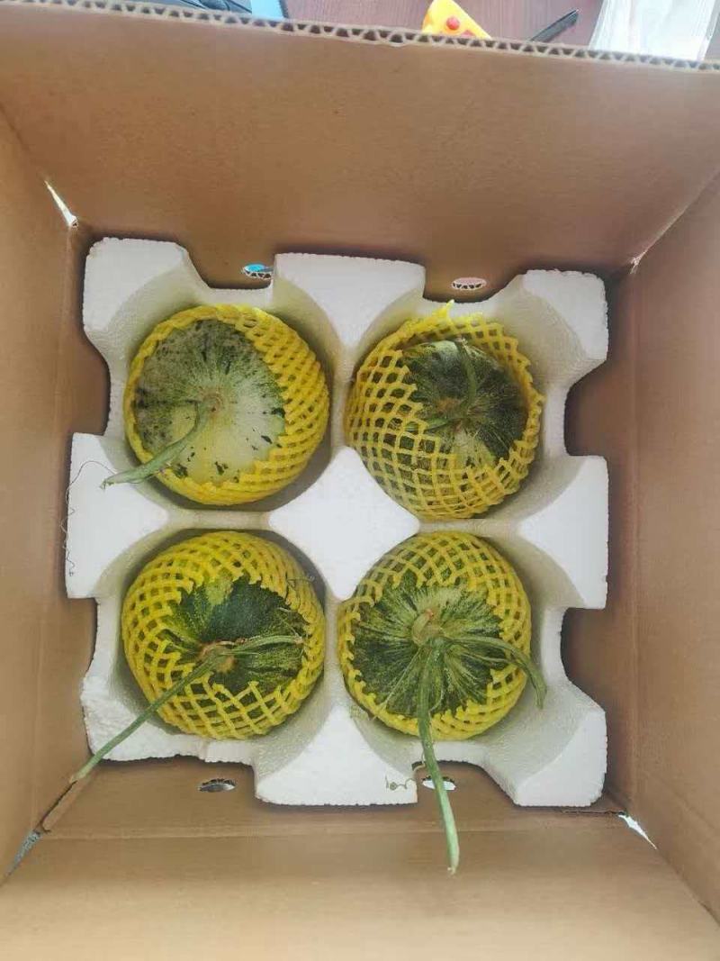 花蕾甜瓜花美人香瓜一件代发落地配整车集采快递包邮