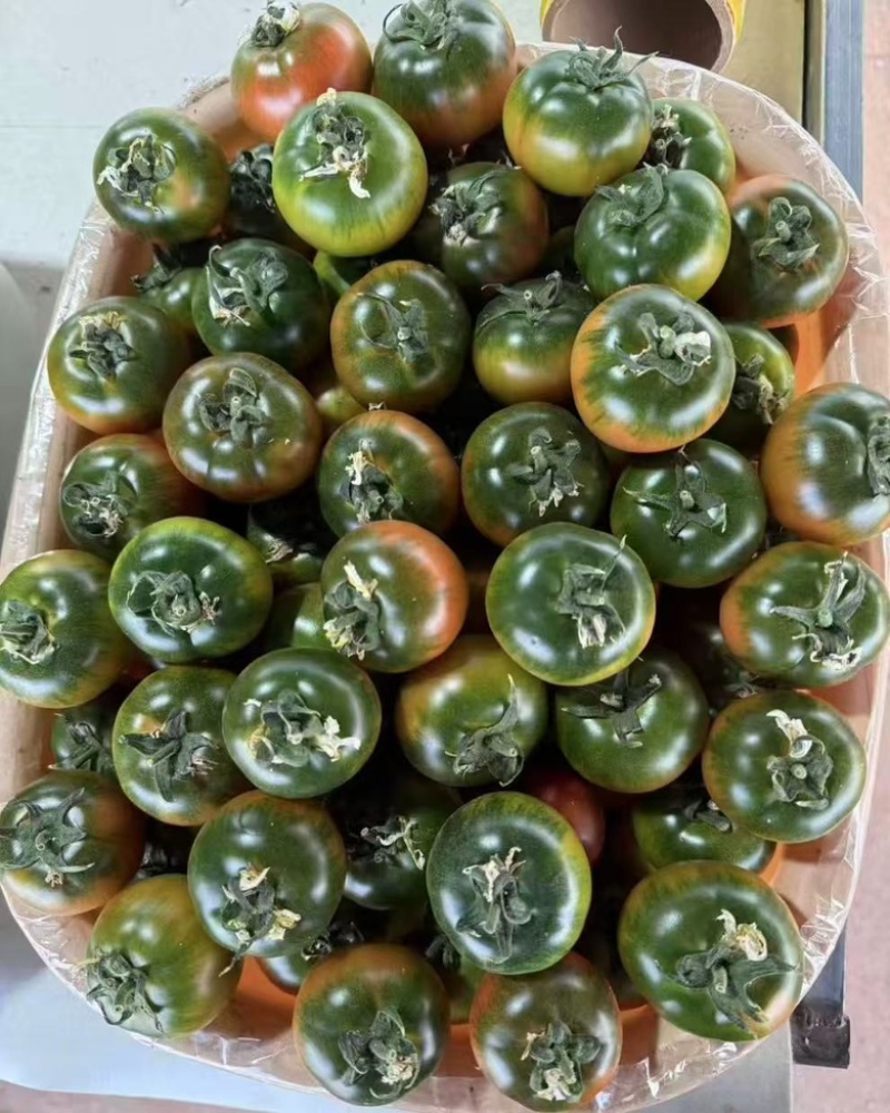 精品草莓西红柿大量供应，产地直发货源充足保质保量