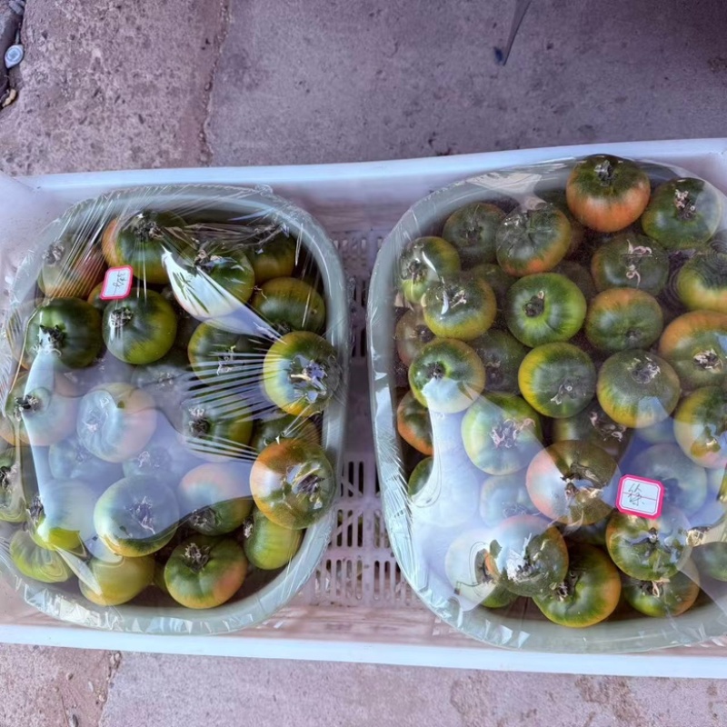 精品草莓西红柿大量供应，产地直发货源充足保质保量