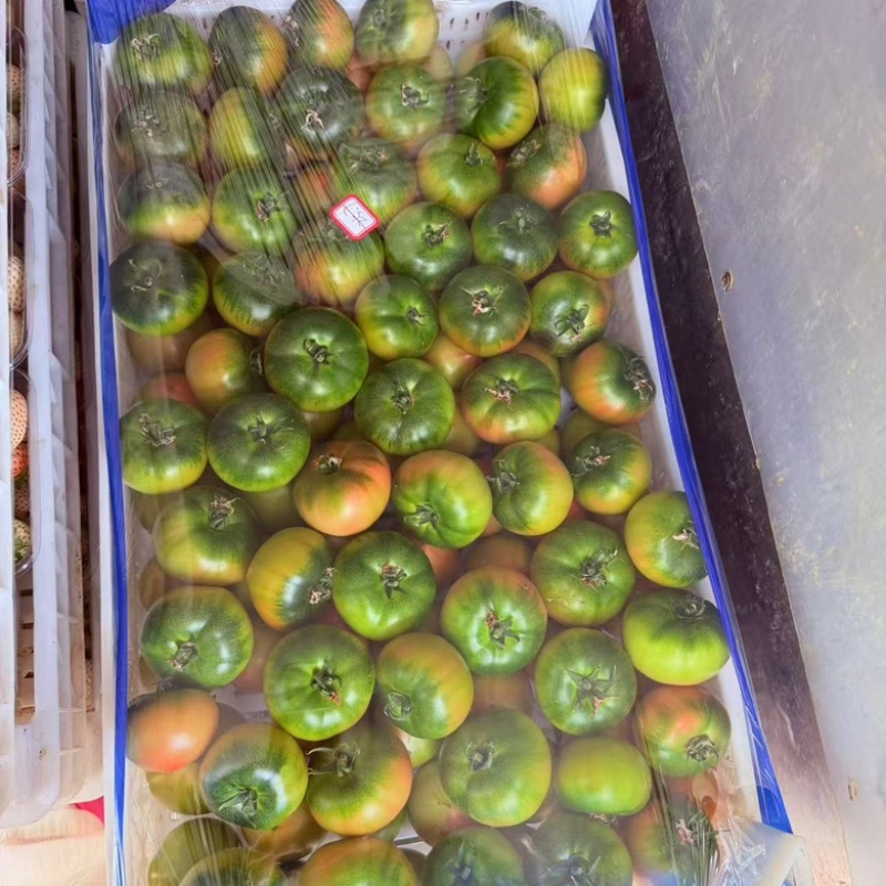 精品草莓西红柿大量供应，产地直发货源充足保质保量