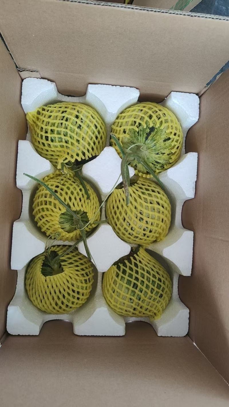 花蕾甜瓜花美人香瓜一件代发落地配整车集采快递包邮