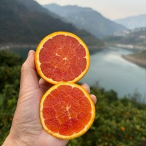 对接电商社团，市场，商超等，保质保量保口感，质优价实。