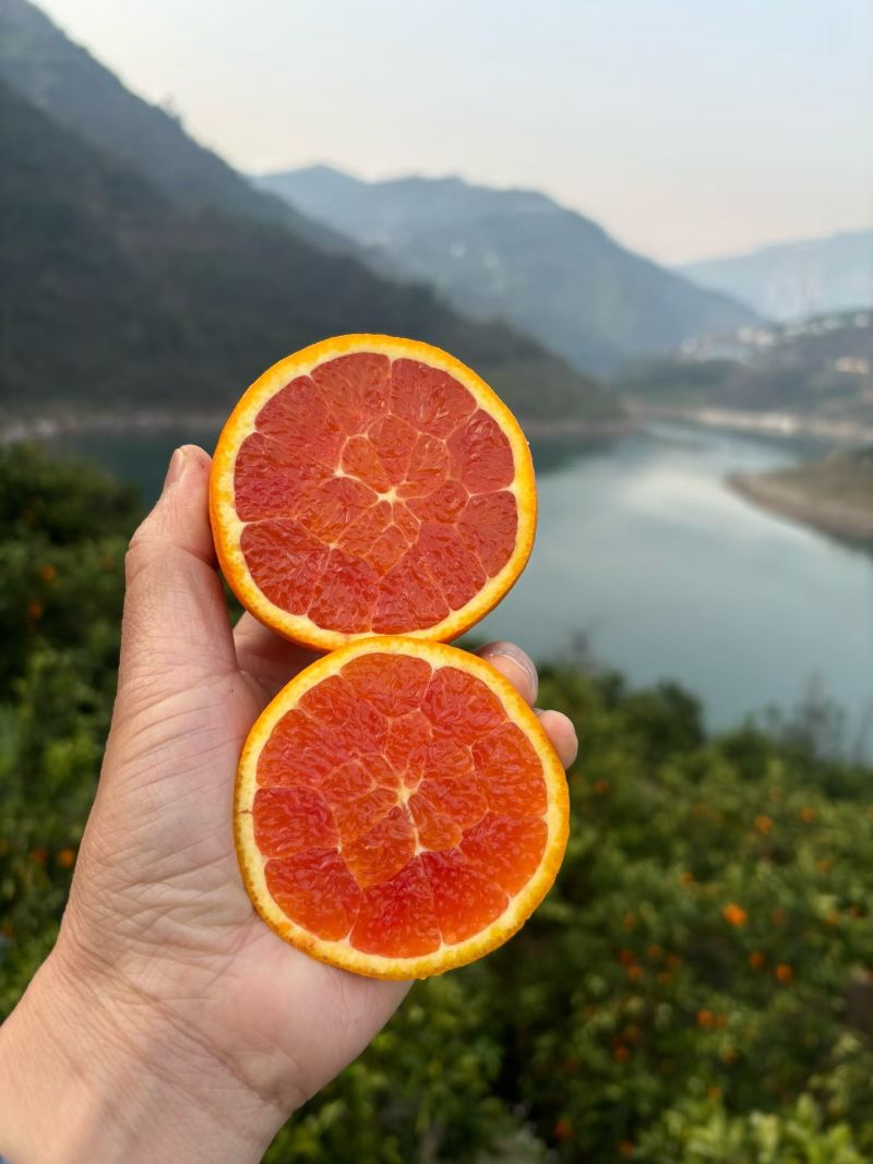 对接电商社团，市场，商超等，保质保量保口感，质优价实。