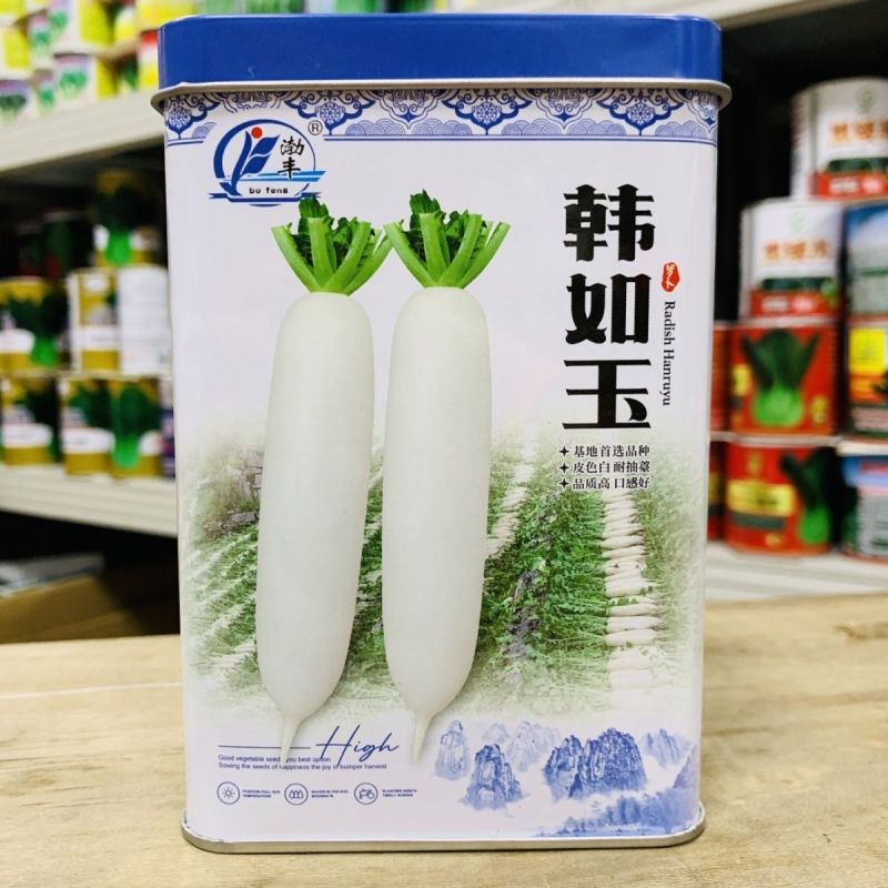 精选韩如玉春白萝卜种子基地优选韩玉春白萝卜皮色白耐抽苔