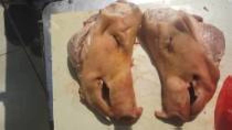 辽宁大型分割场直发猪头各种猪福产品等品种齐全对接全国