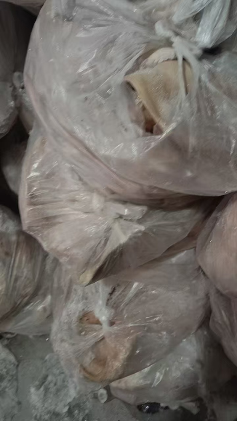 辽宁大型分割场直发猪头各种猪福产品等品种齐全对接全国