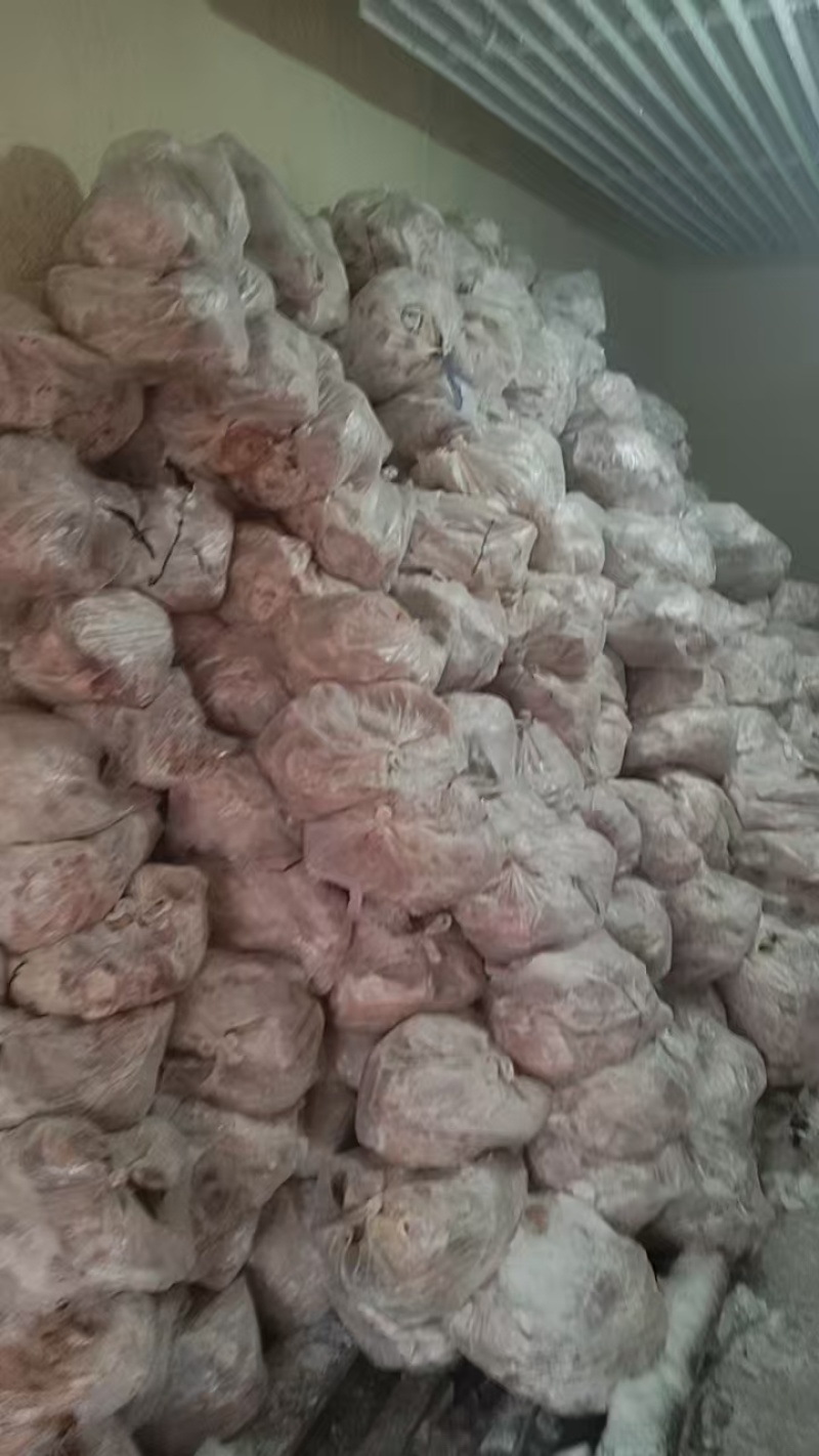 辽宁大型分割场直发猪头各种猪福产品等品种齐全对接全国