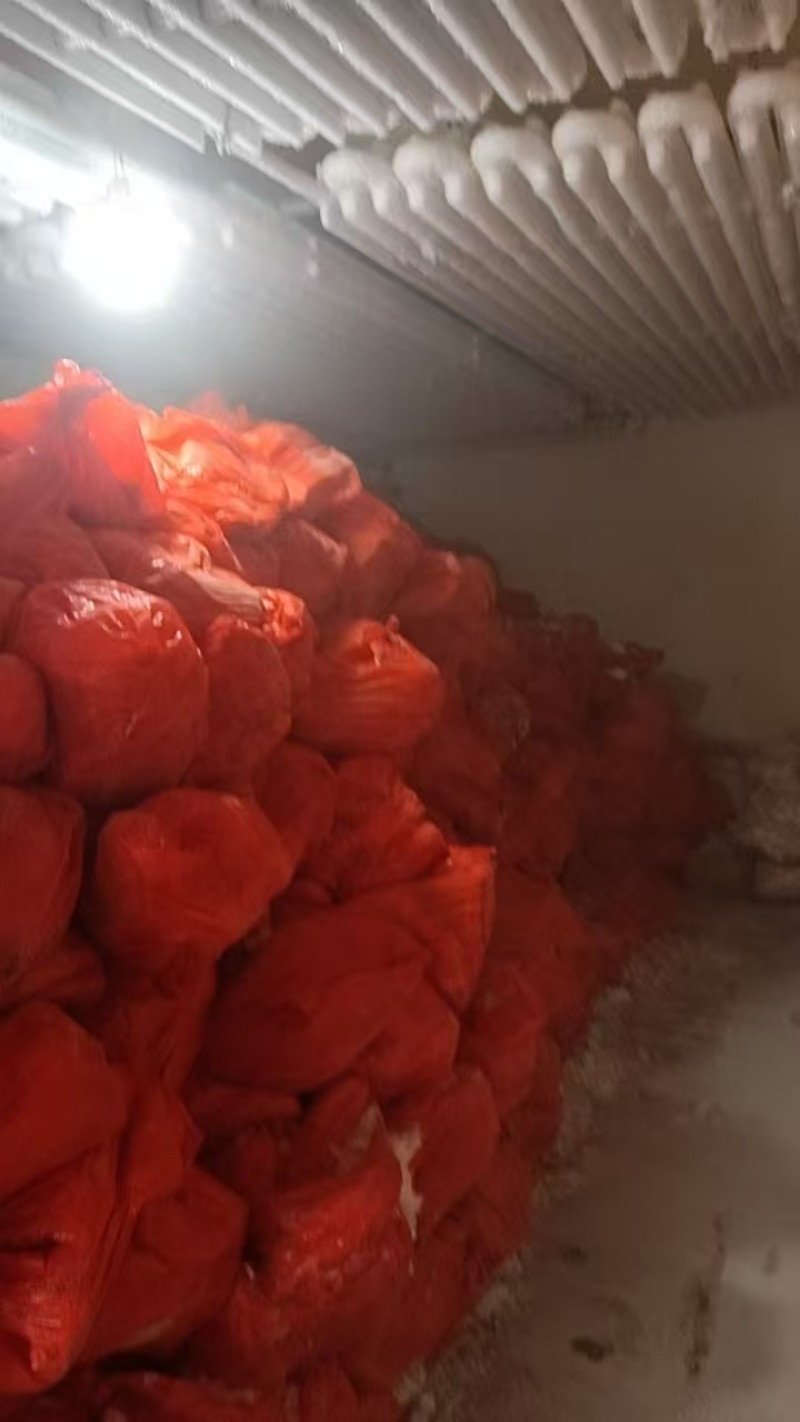 辽宁大型分割场直发猪头各种猪福产品等品种齐全对接全国