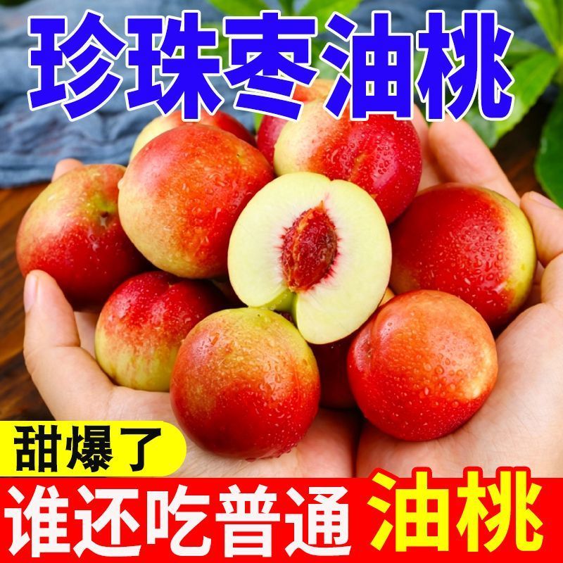 珍珠枣油桃质量保证全国对接代发市场团购，可视频看货