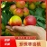 枣油桃，珍珠枣油桃基地供货一手货源对接批发市场