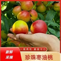 攀枝花油桃，珍珠枣油桃基地供货一手货源对接批发市场