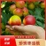 枣油桃，珍珠枣油桃基地供货一手货源对接批发市场
