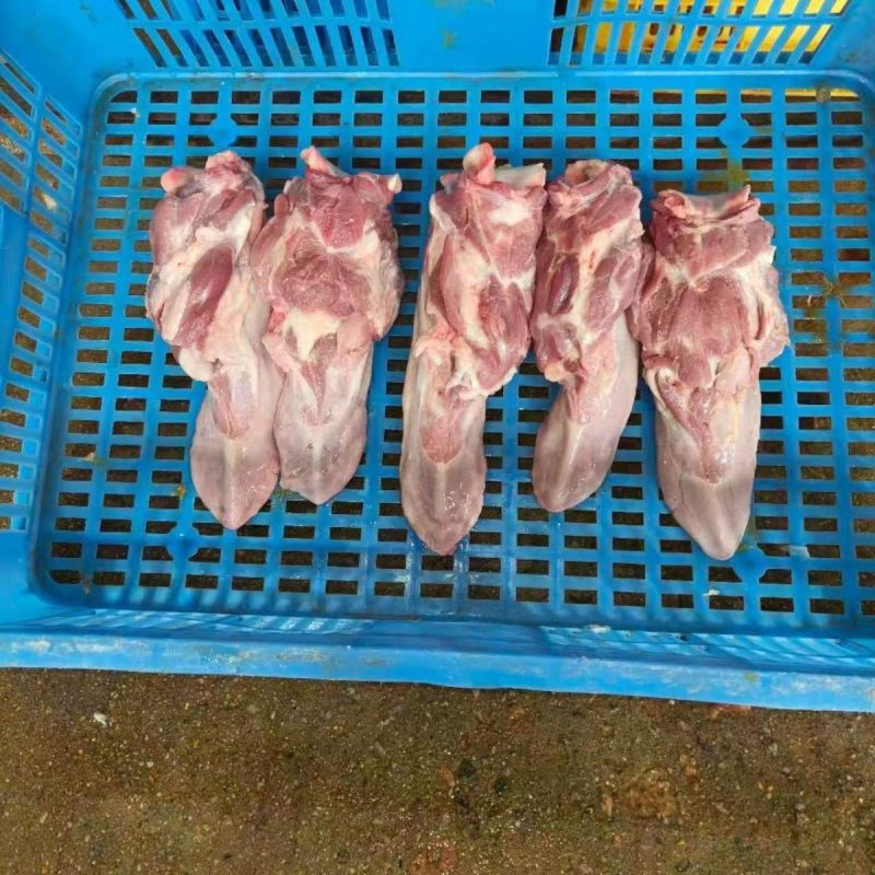 辽宁猪口条大中小都有新鲜生货工厂直发对接全国量大从