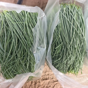 新鲜沙葱