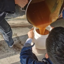 神农架林区中华小蜜蜂土蜂蜜原蜜未加工15吨