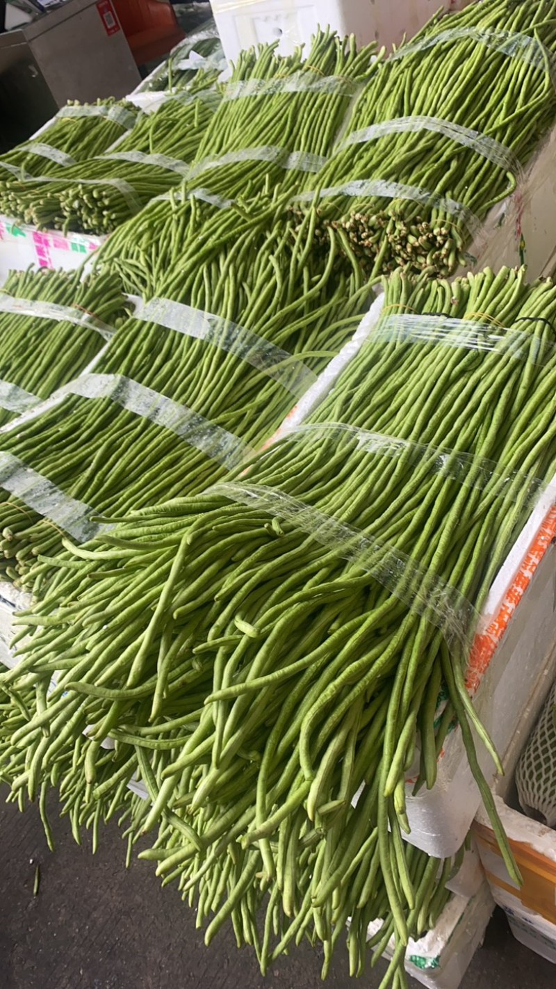 长豆，青条豆角，精品长豆角50厘米以上